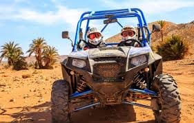 ½ Day : Buggy Adventure in Desert & Palms | Private & Luxury