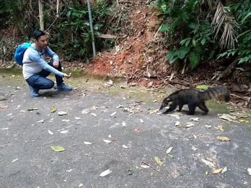 Tijuca Forest National Park