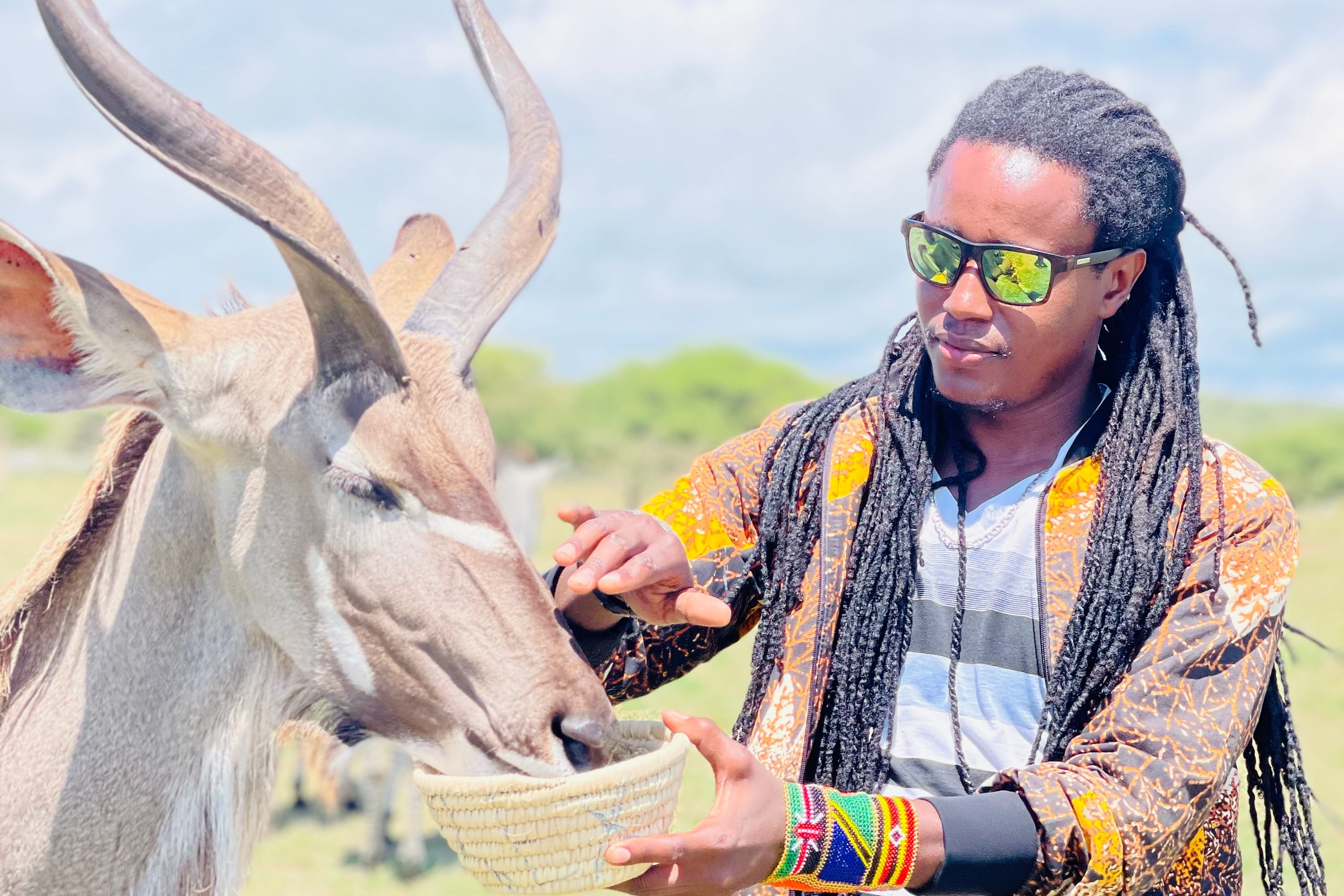 ​A guide feeding a majestic Eland at an exclusive conservation sanctuary.