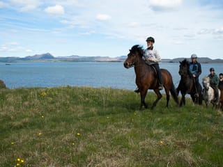 2 hour Riding tour Lake Myvatn area, photo 7