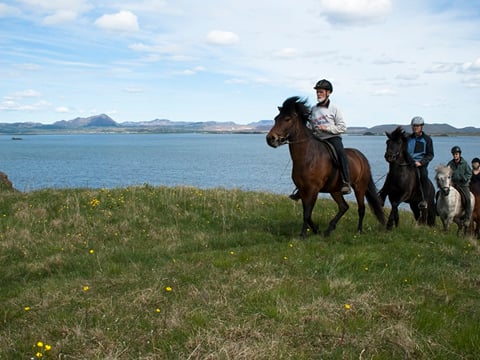 2 hour Riding tour Lake Myvatn area, photo 7
