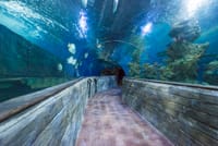 Underwater tunnel