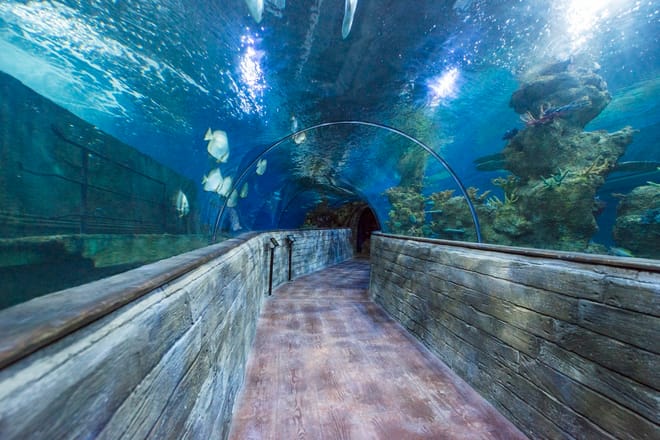 Underwater tunnel