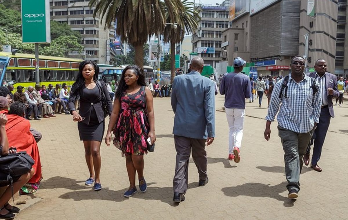 Private Tour: Nairobi City Walking Guided Half-Day Tour