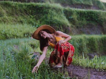 Tegalalang Rice Terrace