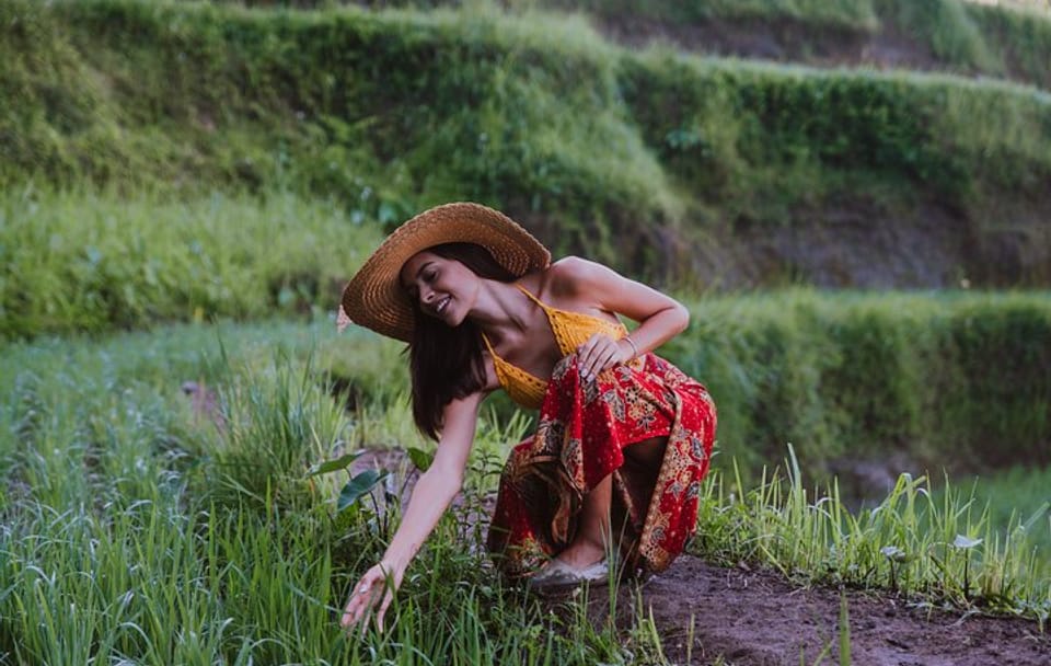 Ubud and Hidden Waterfall Full Day Tour in Bali