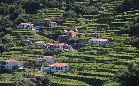 Jeep Tour and Wine Tasting in Madeira's Campanario and Caniço