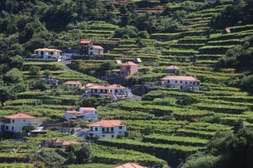 Jeep Tour and Wine Tasting in Madeira's Campanario and Caniço