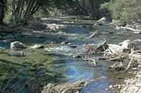 San Martín de los Andes and the Seven Lakes Route 6