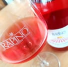 Taste wine of Rapino's vinerey for Guests