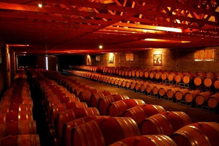 Laguna del Inca Portillo and Viña San Esteban Private Tour with Wine Tasting