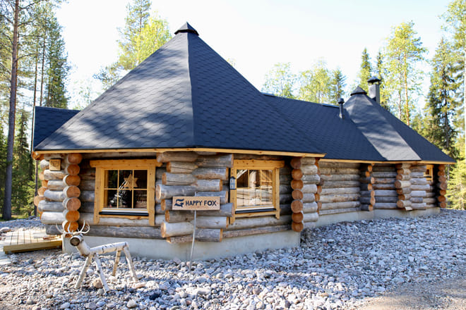 Magic of the Forest and Log Sauna, 4 hours (Private Tour) 3
