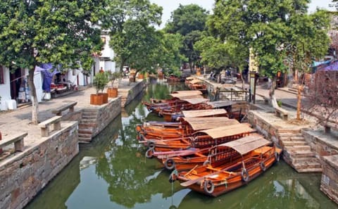 Private Day Tour from Shanghai to Suzhou and Tongli Water Town