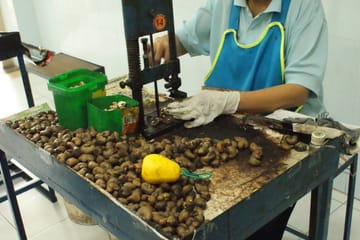 Private Shore Excursion: Amazing Phuket Island Guided Tour