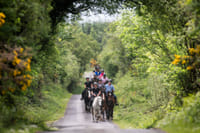 Horse riding the Burren dirt trail. Clare. Guided. 1 hour 3