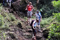 Hikking/Trekking to Adam's peak and Wilderness sanctuary. 10
