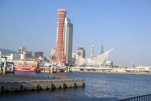 Full-Day Private Guided Tour to Kobe City