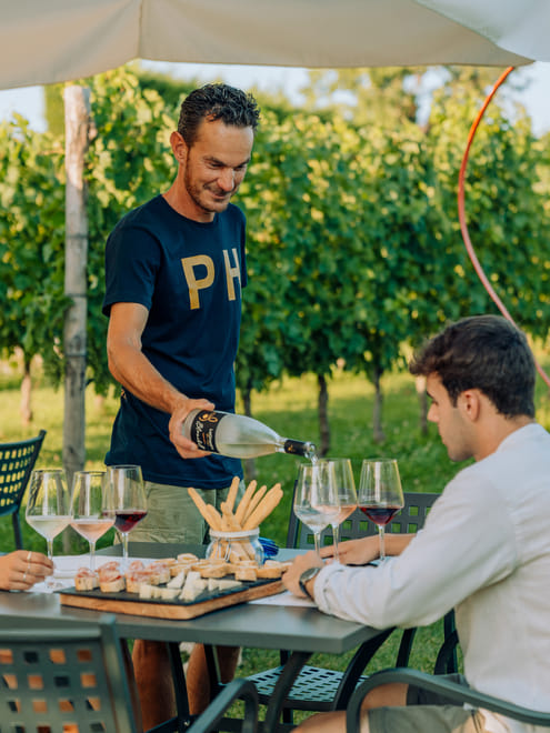 Wine and Food Tasting in the Vineyards photo 6