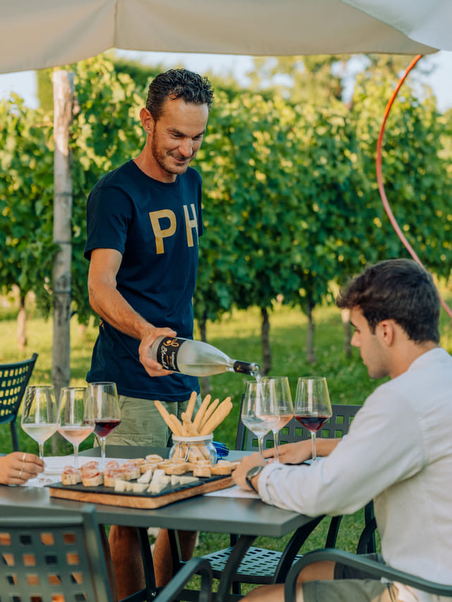Wine and Food Tasting in the Vineyards 6