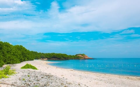 Trincomalee and Nilaveli Beach Tour from Anuradhapura