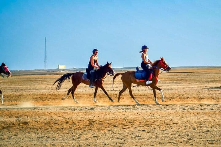 One-Hour Beach Horse Riding with Transfer from Hurghada
