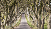 Best of Northern Ireland including Titanic Experience tour from Dublin 3