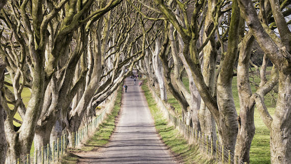 Best of Northern Ireland including Titanic Experience tour from Dublin 3