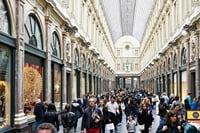 Private tour : Best of Brussels half day From Brussels 6