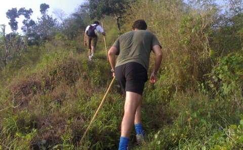 Private Half-Day Trekking Tour on Menoreh Hill near Borobudur