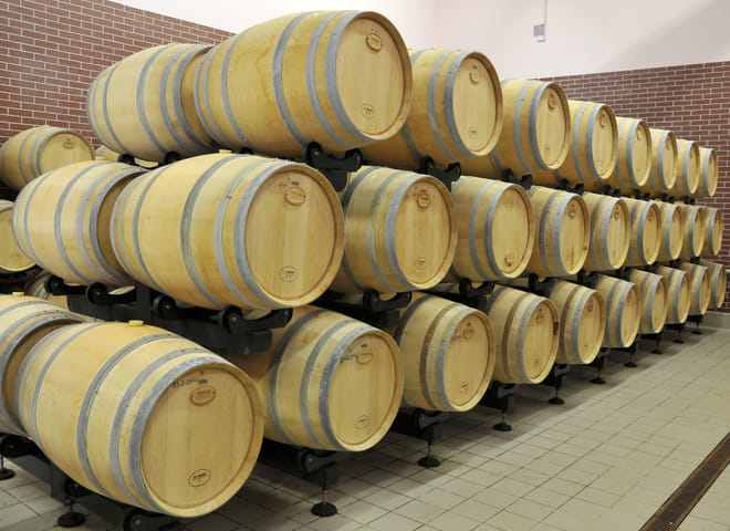 Private Day Trip From Plovdiv To Wine Cellars And Wine Tasting 6