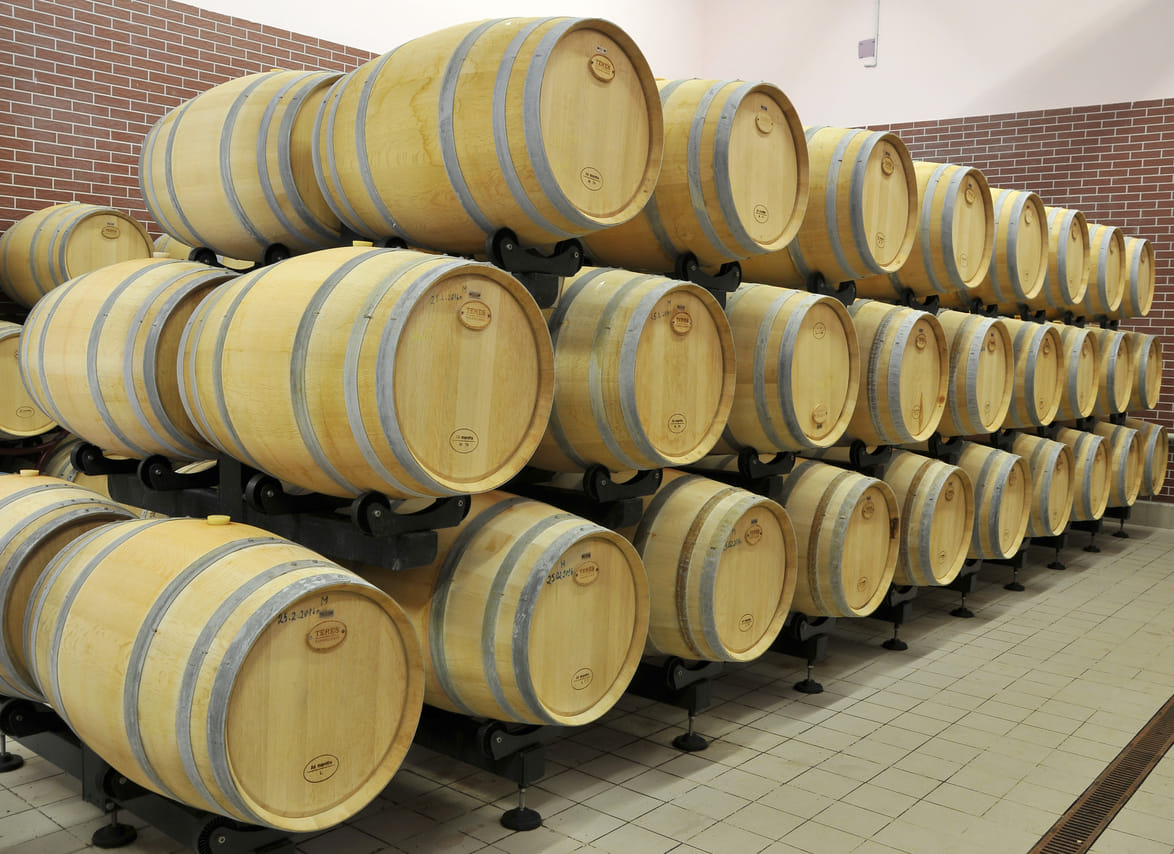Private Day Trip From Plovdiv To Wine Cellars And Wine Tasting 6