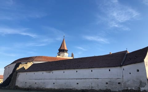 Half-Day Tour of Fortified Churches from Brașov
