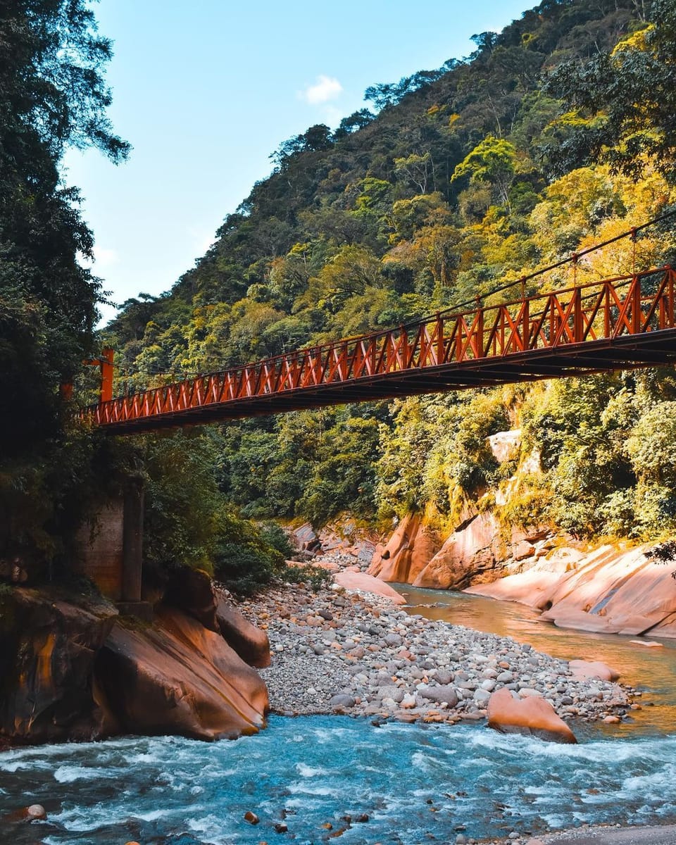 Pmal-05 : Unveil Amazon’s Secrets: 4 Days of Macaw Bliss