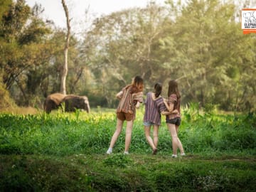 Chiang Mai: Volunteer program