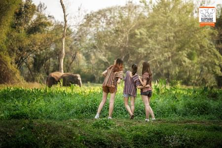 Chiang Mai: Watch Me Experience