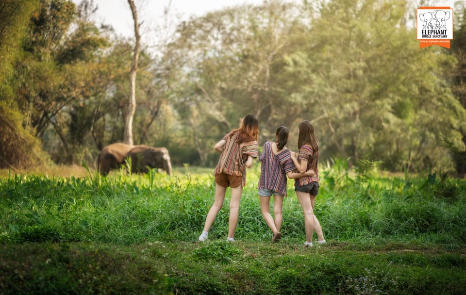 Chiang Mai Elephant Jungle Sanctuary Ethical Wildlife Tour