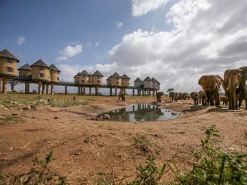 Elephants at Taita Hills - Sarova Salt Lick Lodge