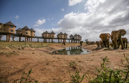 3-Day Wildlife Tour from Mombasa to Taita Hills Sanctuary