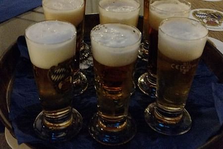 Beer Tasting Experience with a Sommelier at Munich’s Oktoberfest Museum