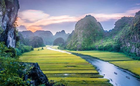Ninh Binh Day Trip: Explore Hoa Lu, Tam Coc, and Mua Cave