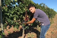 Private Half-Day Tour: Chianti Classico Wine Experience	 7
