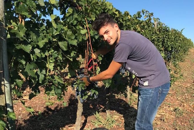 Private Half-Day Tour: Chianti Classico Wine Experience	 7