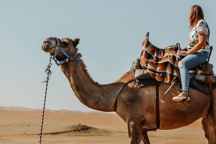 One Hour Camel Riding Adventure With transfer From Hurghada