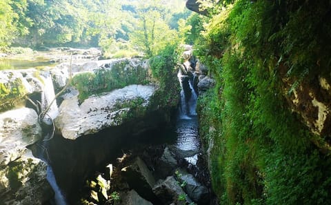 7-Day All-Inclusive Tour of Georgia from Tbilisi
