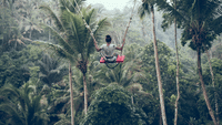 Ubud Scenic Tour with Jungle Swing 1