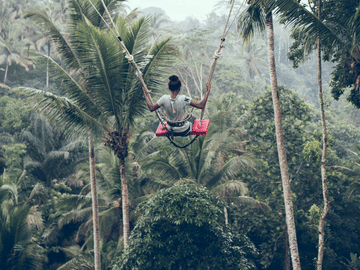 Ubud Scenic Tour with Jungle Swing and Cultural Highlights