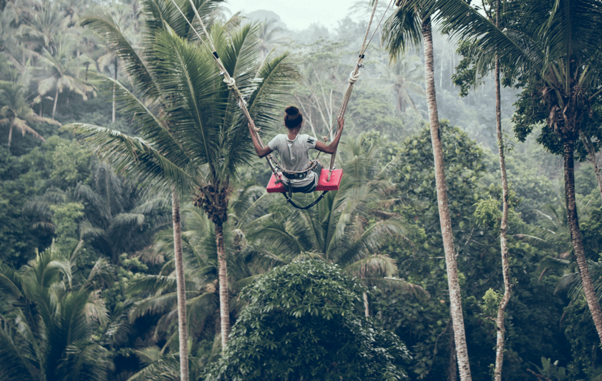 Ubud Scenic Tour with Jungle Swing