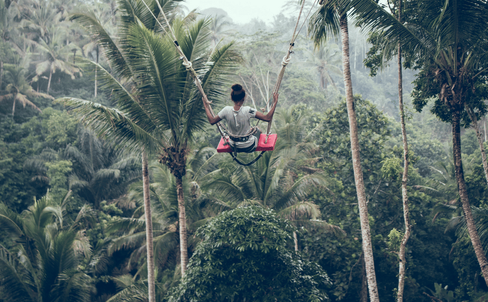 Ubud Scenic Tour with Jungle Swing and Cultural Highlights