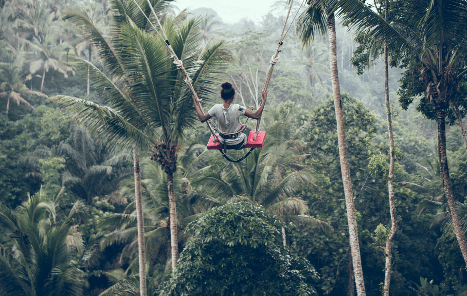 Ubud Scenic Tour with Jungle Swing and Cultural Highlights