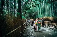 Tokyo, Mt. Fuji, Kyoto and Nara 6 Days Private Tour 9